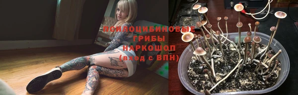 гидропоника Абинск