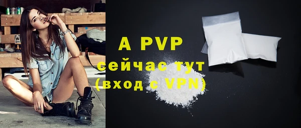 прущие крисы Абаза