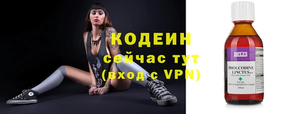 прущие крисы Абаза