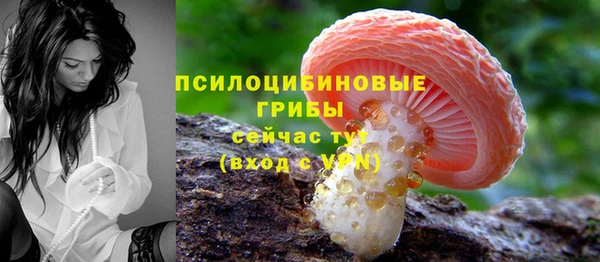 скорость Алзамай