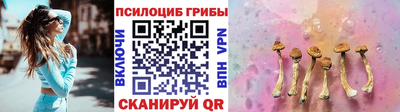 Псилоцибиновые грибы MAGIC MUSHROOMS что такое kraken ССЫЛКА Яблоновский